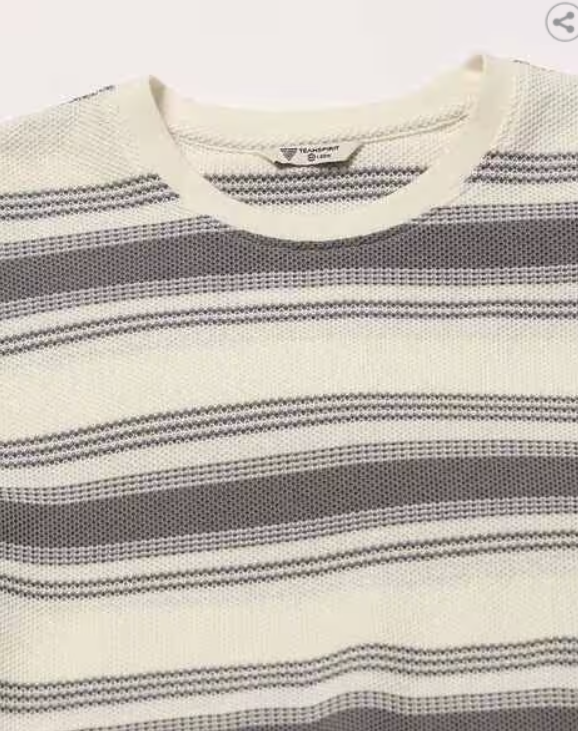 TEAMSPIRIT Striped Crew-Neck T-Shirt