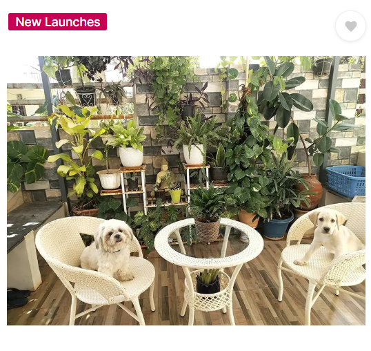 WildMonk Cane Table & Chair Set  (Finish Color - Beige, Pre-assembled)