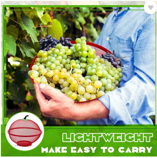 VEWIKZY Fruit Basket with Lid Net Cover Steel Big Size for Dinning Kitchen Iron Fruit & Vegetable Basket  (Red)