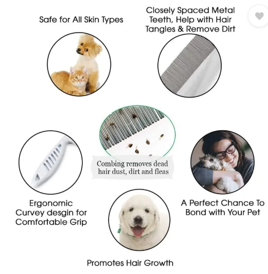 Breedo (Combo of 4) Dog Toothpaste + Teeth Brush + Comb + Slicker For All Breed Dogs Basic Comb for Dog & Cat, Dog, Monkey, Rabbit, Hamster