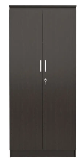 NEUDOT MONO Engineered Wood 2 Door Wardrobe (Finish Color - Wenge, Knock Down)
