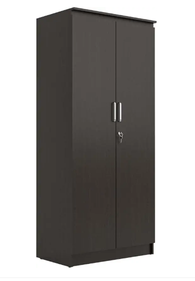 NEUDOT MONO Engineered Wood 2 Door Wardrobe (Finish Color - Wenge, Knock Down)