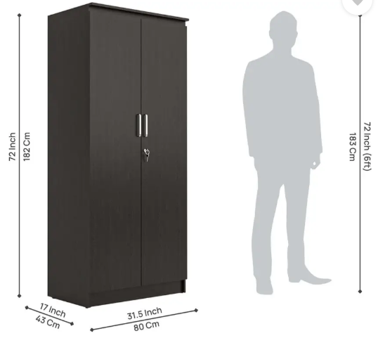 NEUDOT MONO Engineered Wood 2 Door Wardrobe (Finish Color - Wenge, Knock Down)