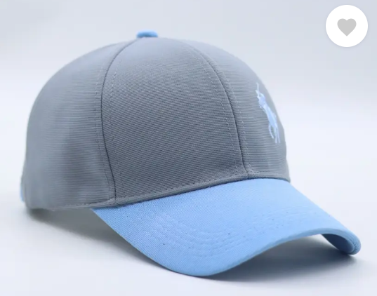 Polo | Embroidered Sports/Regular Cap