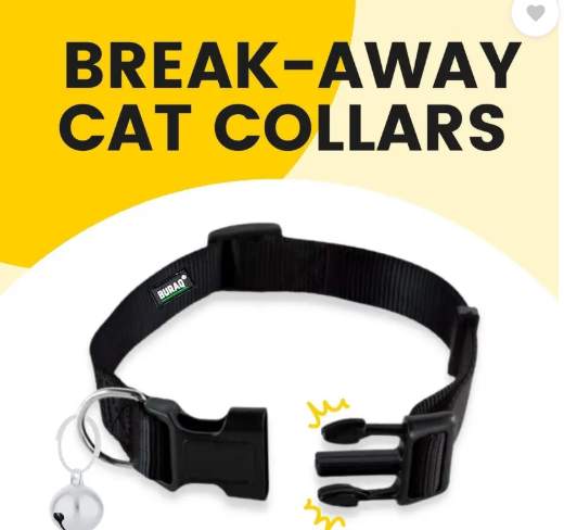 Buraq Perfect 3 Pcs Cat Collar , Solid & Safe Collars for Cats , Adjustable Cat Break Away Collar  (Small, Multi - Colour)