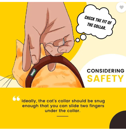 Buraq Perfect 3 Pcs Cat Collar , Solid & Safe Collars for Cats , Adjustable Cat Break Away Collar  (Small, Multi - Colour)