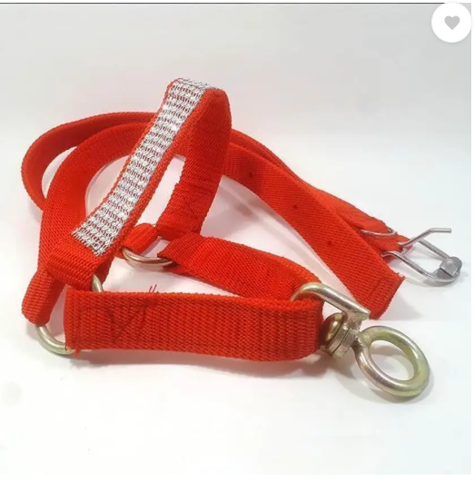 SUPER Cow/Buffalo Mohri/mohra with Strong Bhanwar kadhi, Halter Nylon Rope Cow Everyday Collar  (Large, MULTICOLOR)