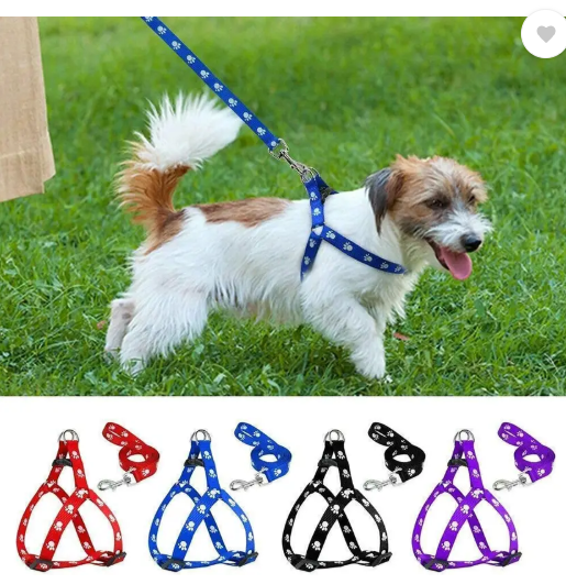 DogTrust Nylon Puppy Harness for Small & Medium Dogs Colour May Vary (0.75-inch) Dog Buckle Harness  (Medium, Printed Multicolor)