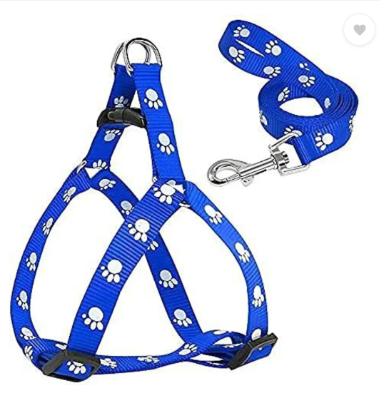 DogTrust Nylon Puppy Harness for Small & Medium Dogs Colour May Vary (0.75-inch) Dog Buckle Harness  (Medium, Printed Multicolor)