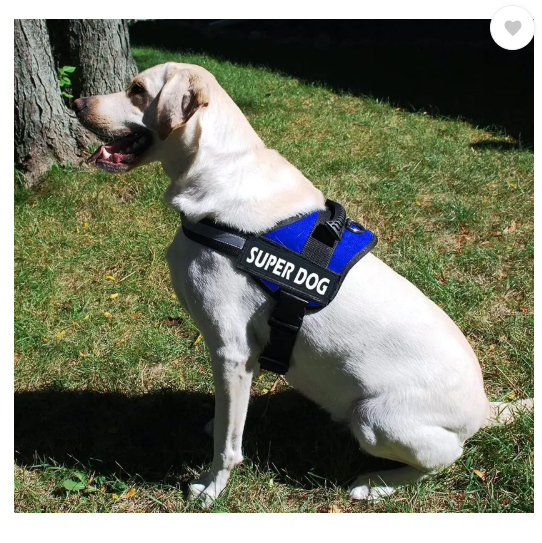 Cocker No Pull Dog Harness Adjustable Reflective Comfortable Dog Standard Harness  (Large, Blue)