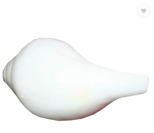 SG MUSICAL Conch