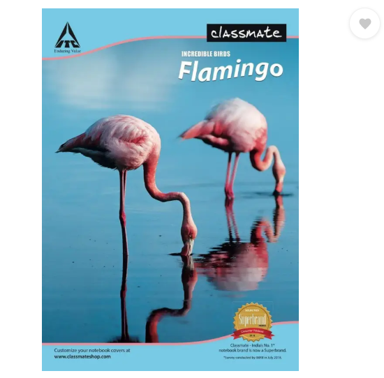 Classmate Longbook A4 Notebook Single Line 240 Pages (Multicolor, Pack of 6)