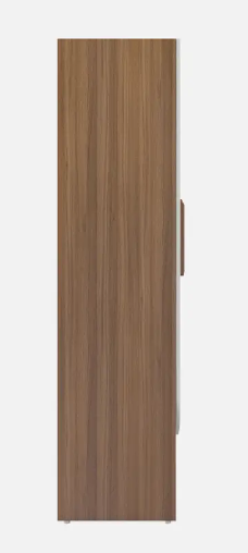A GLOBIA CREATIONS Briza Engineered Wood 2 Door Wardrobe  (Finish Color - Exotic Teak, Knock Down)