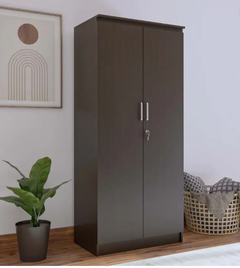 NEUDOT MONO Engineered Wood 2 Door Wardrobe  (Finish Color - Wenge, Knock Down)