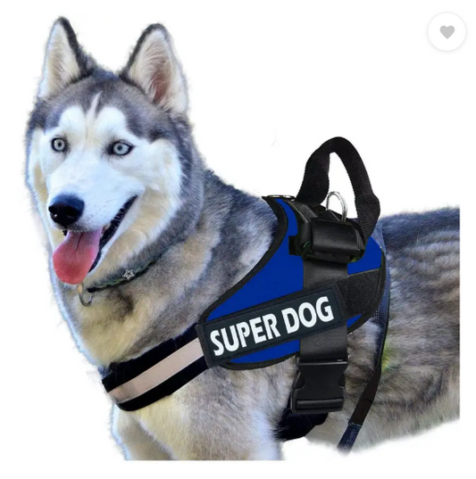 Cocker No Pull Dog Harness Adjustable Reflective Comfortable Dog Standard Harness  (Large, Blue)