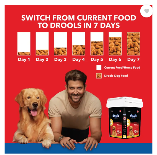 Drools Inside Container Egg and Chicken 5 kg Dry Adult Dog Food