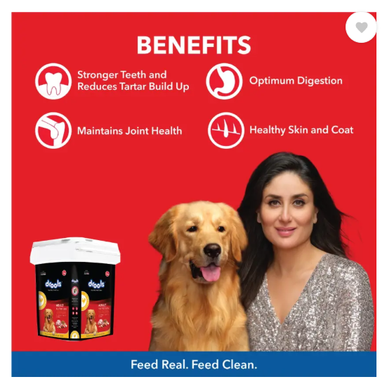 Drools Inside Container Egg and Chicken 5 kg Dry Adult Dog Food