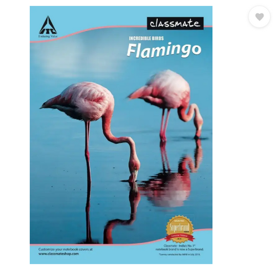 Classmate Longbook A4 Notebook Single Line 240 Pages  (Multicolor, Pack of 6)